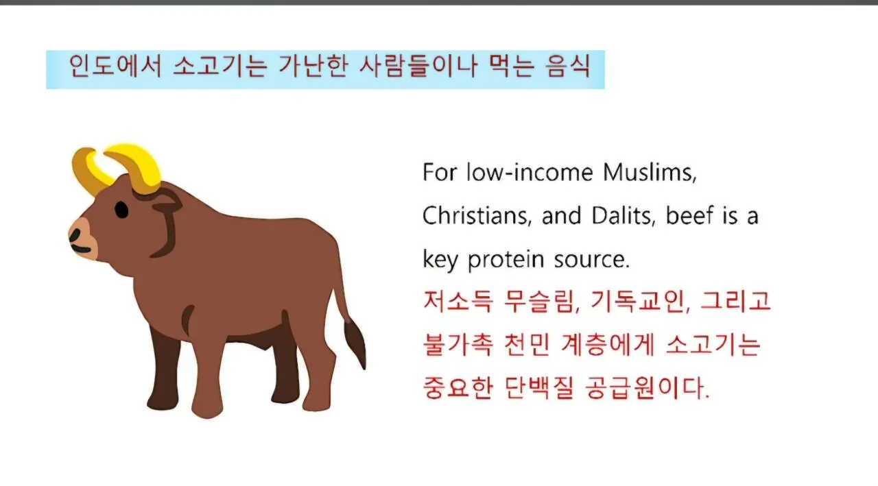 1000121566.jpg 인도에서 소고기 가격이 닭고기보다 50% 저렴한 반값인 이유