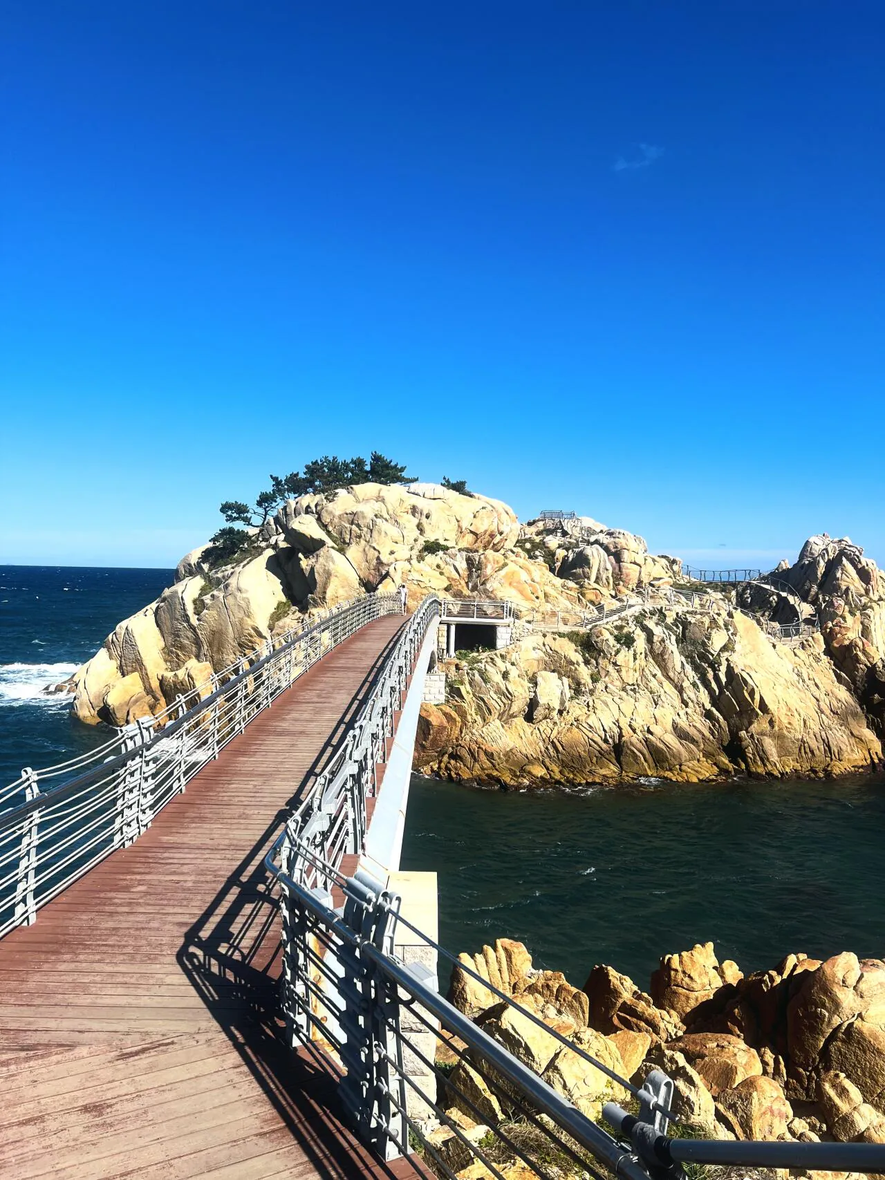 IMG_9046.jpeg 울산 대왕암 공원 산책
