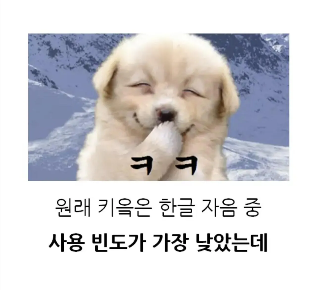 1000248837.jpg 인터넷이 생기고 인생 역전한 한글 글자.jpg