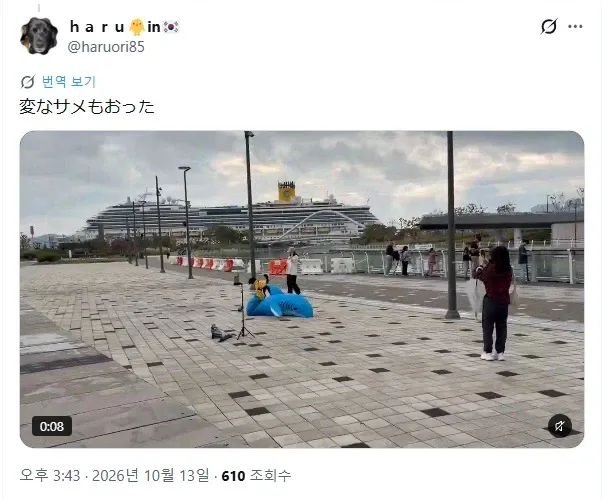 1000031150.webp 부산에서 부캉이를 본 일본인