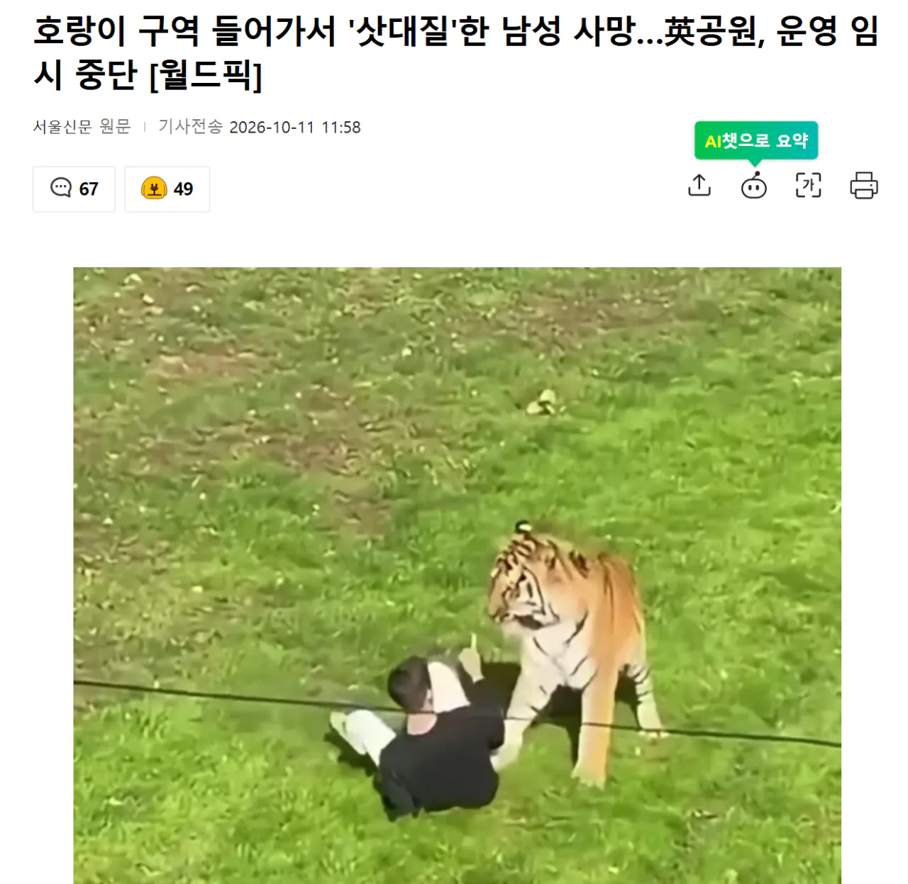 Screenshot 2026-10-11 at 14.55.30.png 영국 공원에서 호랑이 구역 들어가서 '삿대질'한 남성 사망... 공원 운영 임시 중단