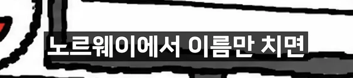 IMG_2361.jpeg 모든 사람의 월급을 검색할 수 잇는 나라 노르웨이 , 그러나