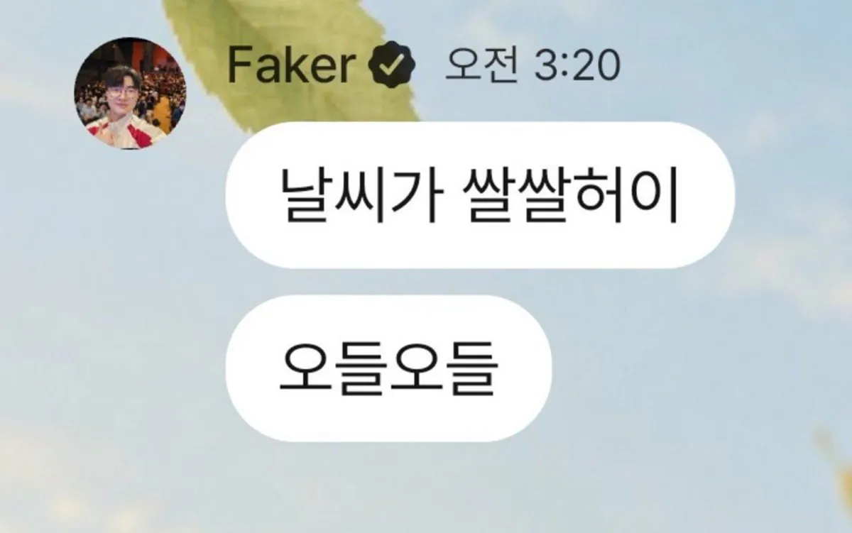 페이커 버블