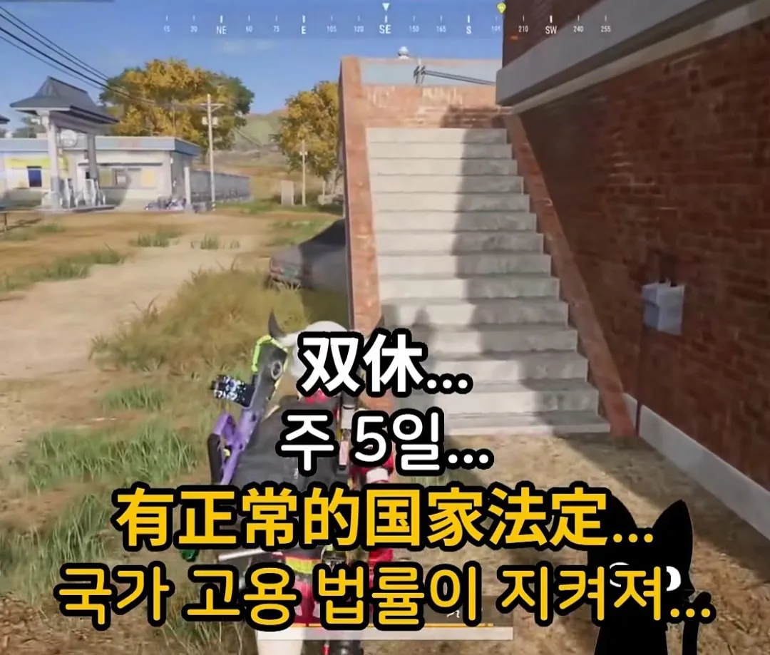 56254.jpg 하루 11시간 주 7일 근무해서 300만원 버는 중국인...jpg