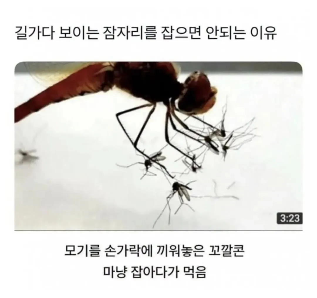 ํน๊ฐ ์ ์๋ฆฌ.webp ์ ์๋ฆฌ๊ฐ ๊ฐ์ฉ๋ ์ด์ ใทใทใท