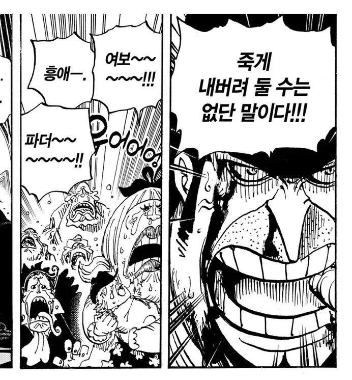 6_20241013_221348.jpg 의외로 원피스 명언 제조기.jpg