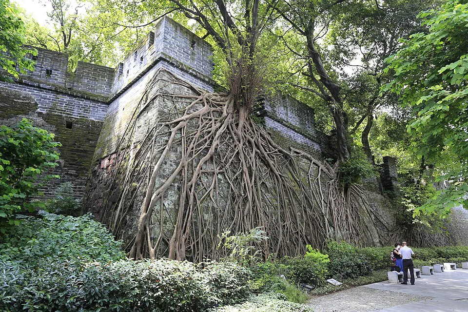 image.png 중국 지방 대도시들 옛 성벽 사진