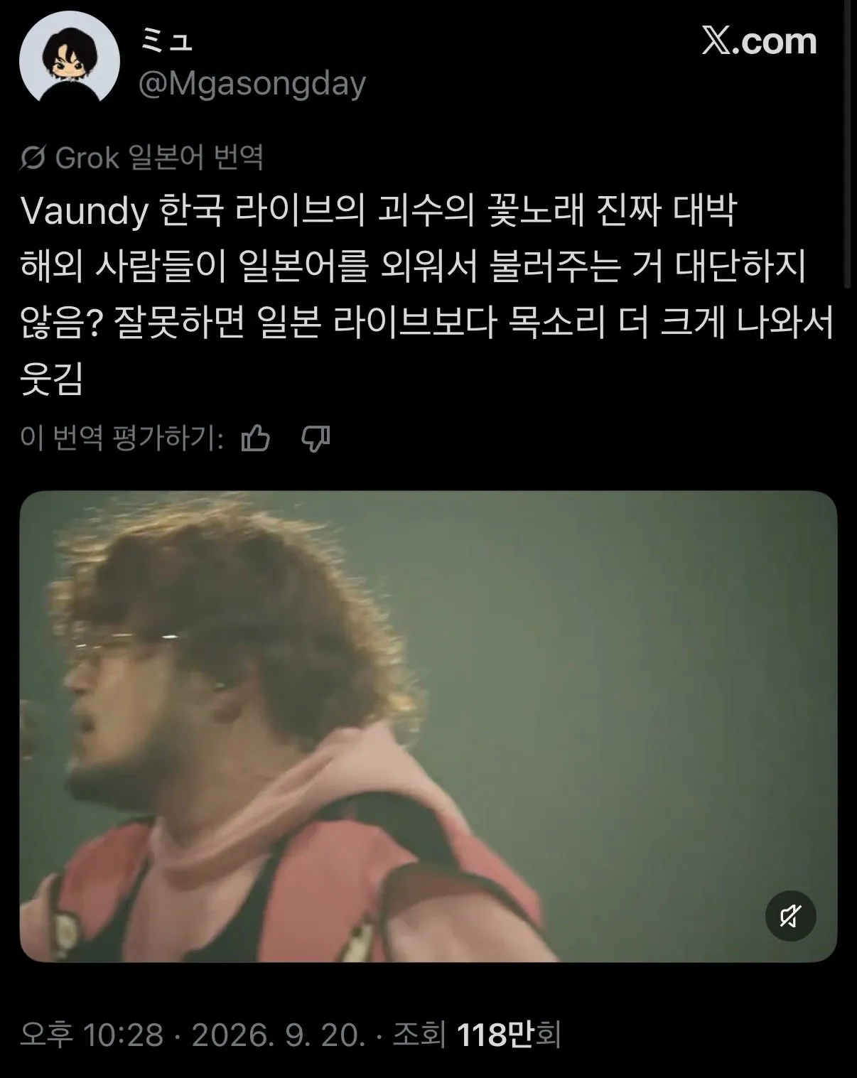 IMG_4229.jpeg 일본 가수의 내한 공연이 일본에서 생중계되면서 화제가 된 한국의 떼창.x