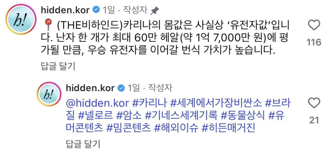 IMG_6291.jpeg 세계에서 가장 비싼 암소는 카리나 (feat. 윈터)