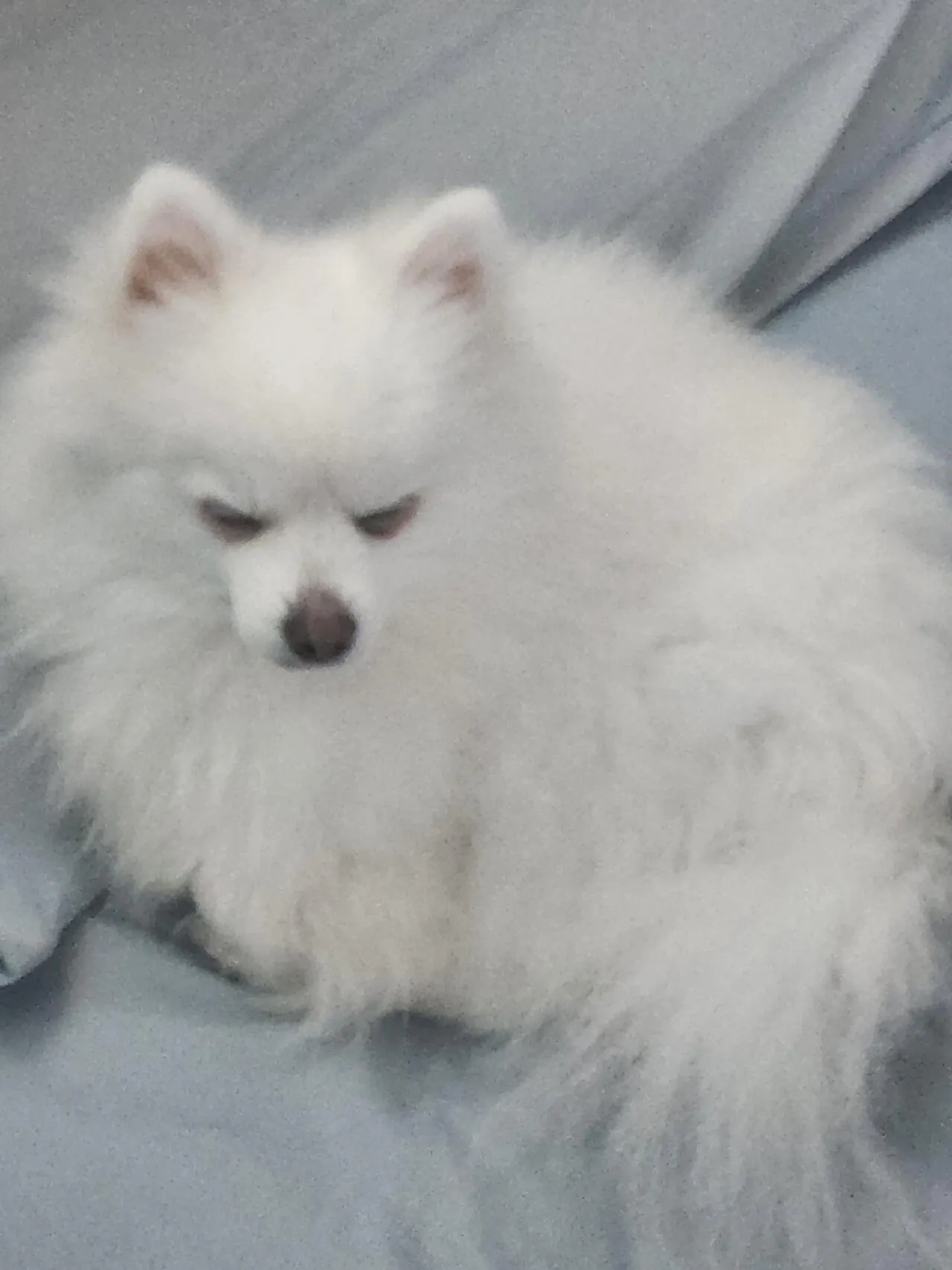 뭐야 포텐 피버타임 끝이야?