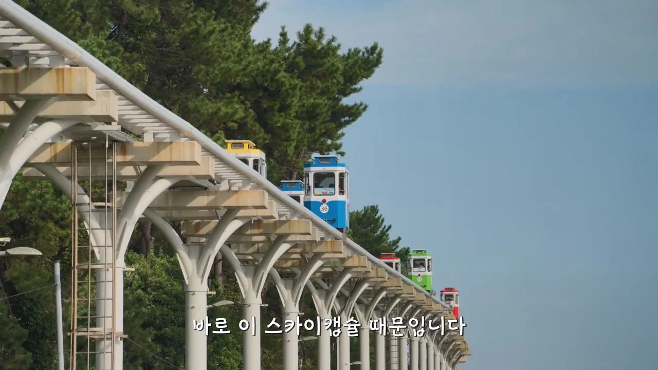 요즘 부산 관광지에서 벌어지고 있는 충격적인 변화.mp4_20260929_095249.408.jpg 지금 부산에 여행온다고 외국인들이 몰리는 이유