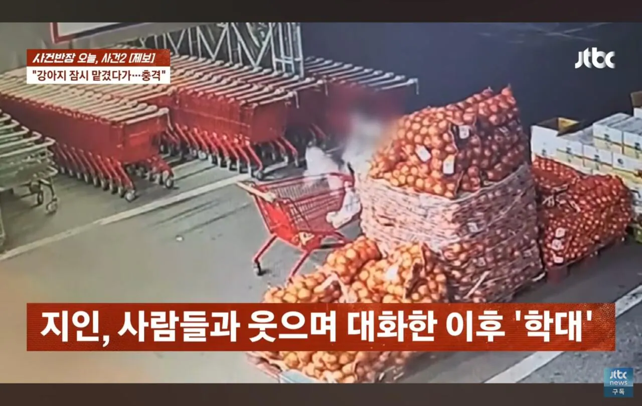 Screenshot_20261022_112804_YouTube.jpg 애견폭행영상주의) 사건반장에 나온 이웃 강아지 학대한 레전드 싸이코패스 ㄷㄷㄷ