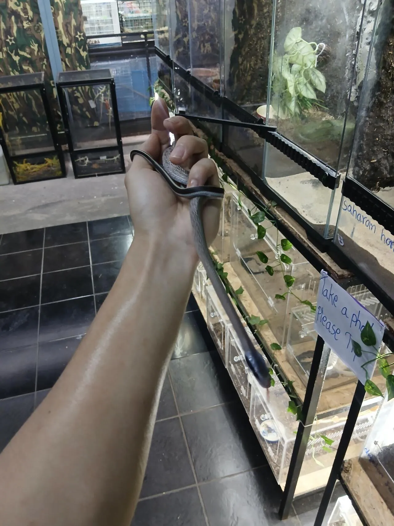 1000027104.jpg 혐주의) 2026 태국 뱀 탐사 작전 6일차