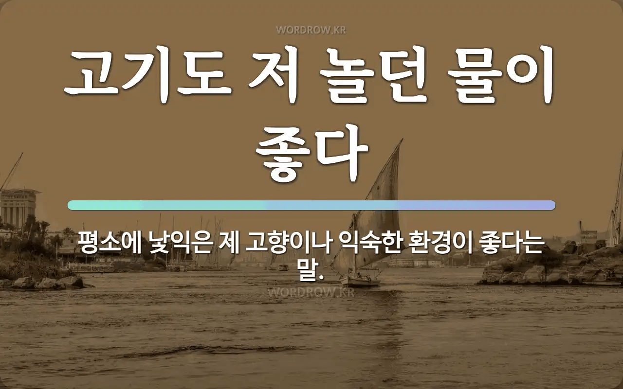 image.png UAE의 속담들