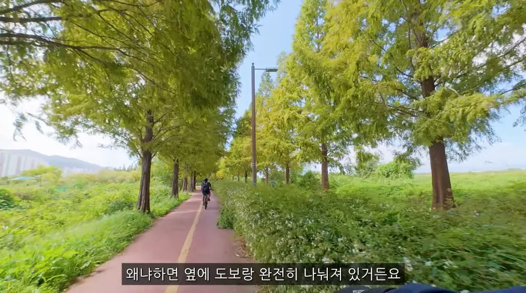 요즘 자전거도로에서 자주 일어난다는 사고