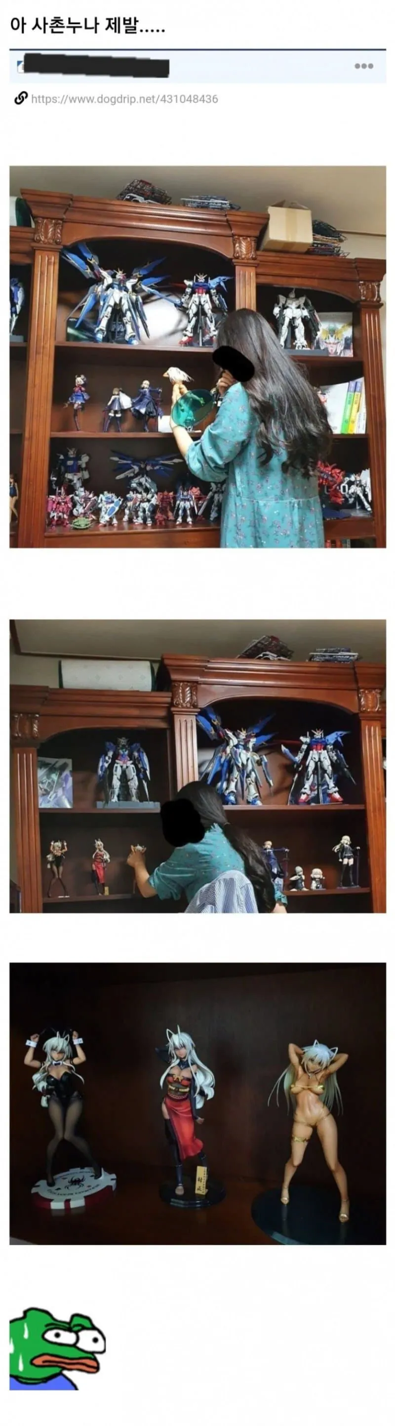image.png ㅇㅎ) 내방에서 피규어 구경하는 사촌누나.....jpg