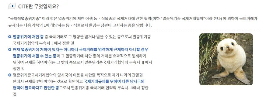 image.png 우리집에 사는 멸종위기 1급 동물 집에서 키우는 거북이가 ㅅㅅ 하면 생기는일4