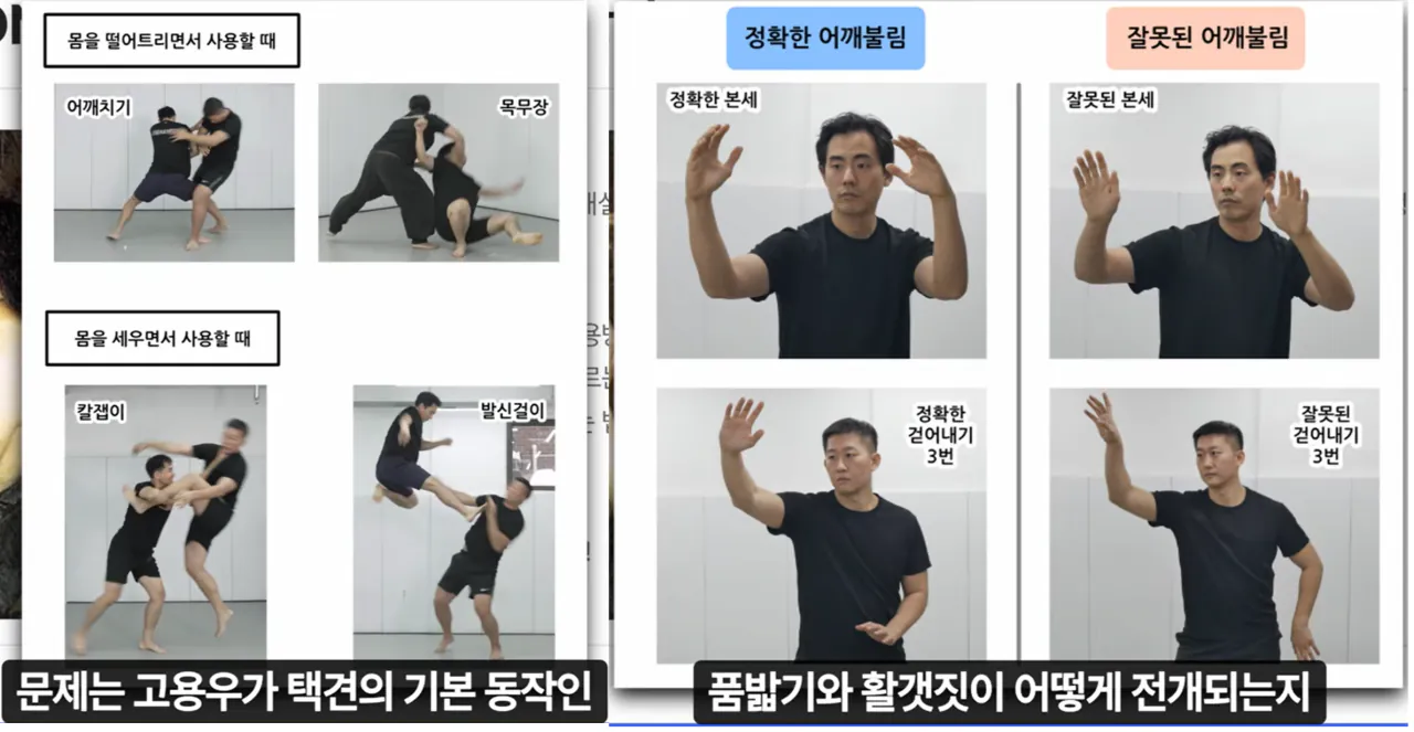 image.png "하나의 유령이 택견계를 배회하고 있다. 윗대태껸이란 유령이."