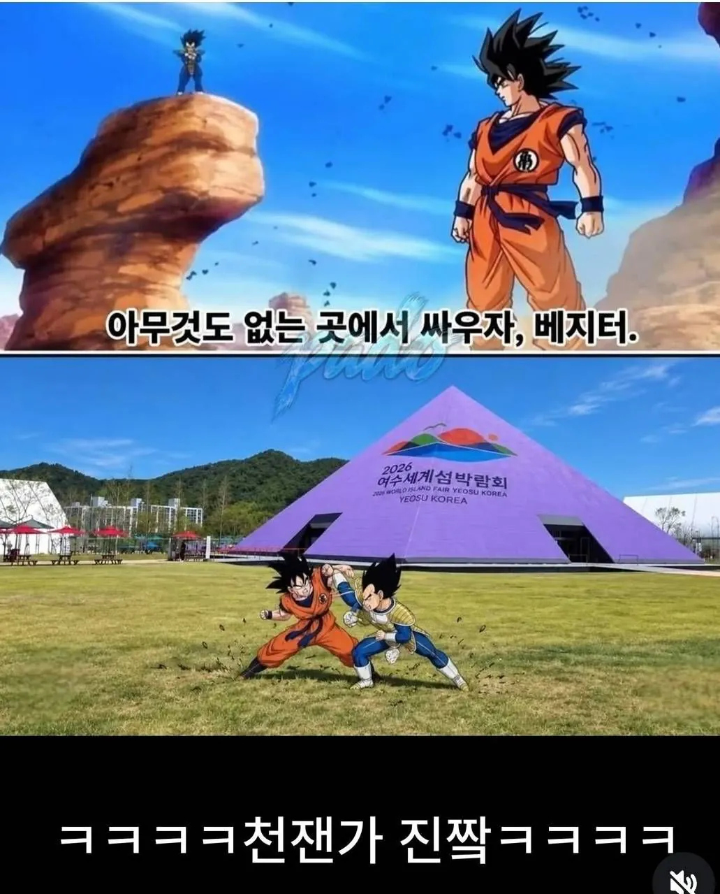 여수박람회 최신 밈