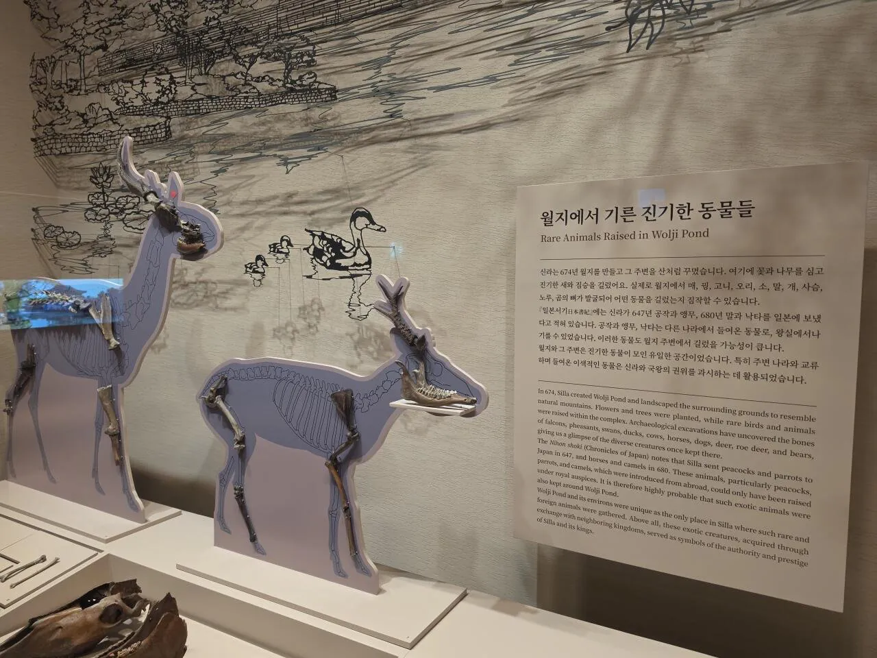 21516.jpg ??? : 기를거랬잖아!! 기를거랬잖아!!