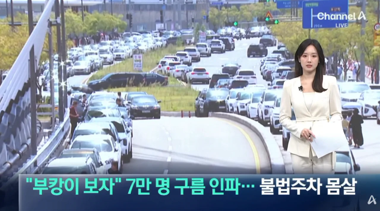 “부캉이 보자” 7만 명 구름 인파…불법주차 몸살 (1).png 오늘 하루 부산 상어 보려고 방문한 방문객수