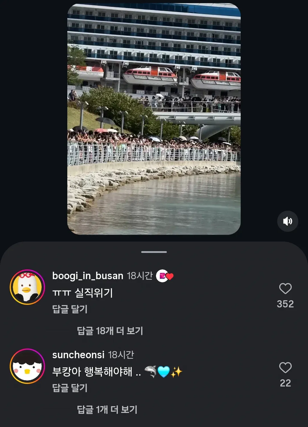 image.png 상어 부캉이 이슈에 하나둘씩 노젓기 시작하는 부산시.jpg
