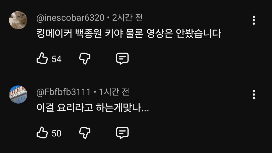 20457.jpg 오늘자 백종원 유튜브 댓글 근황