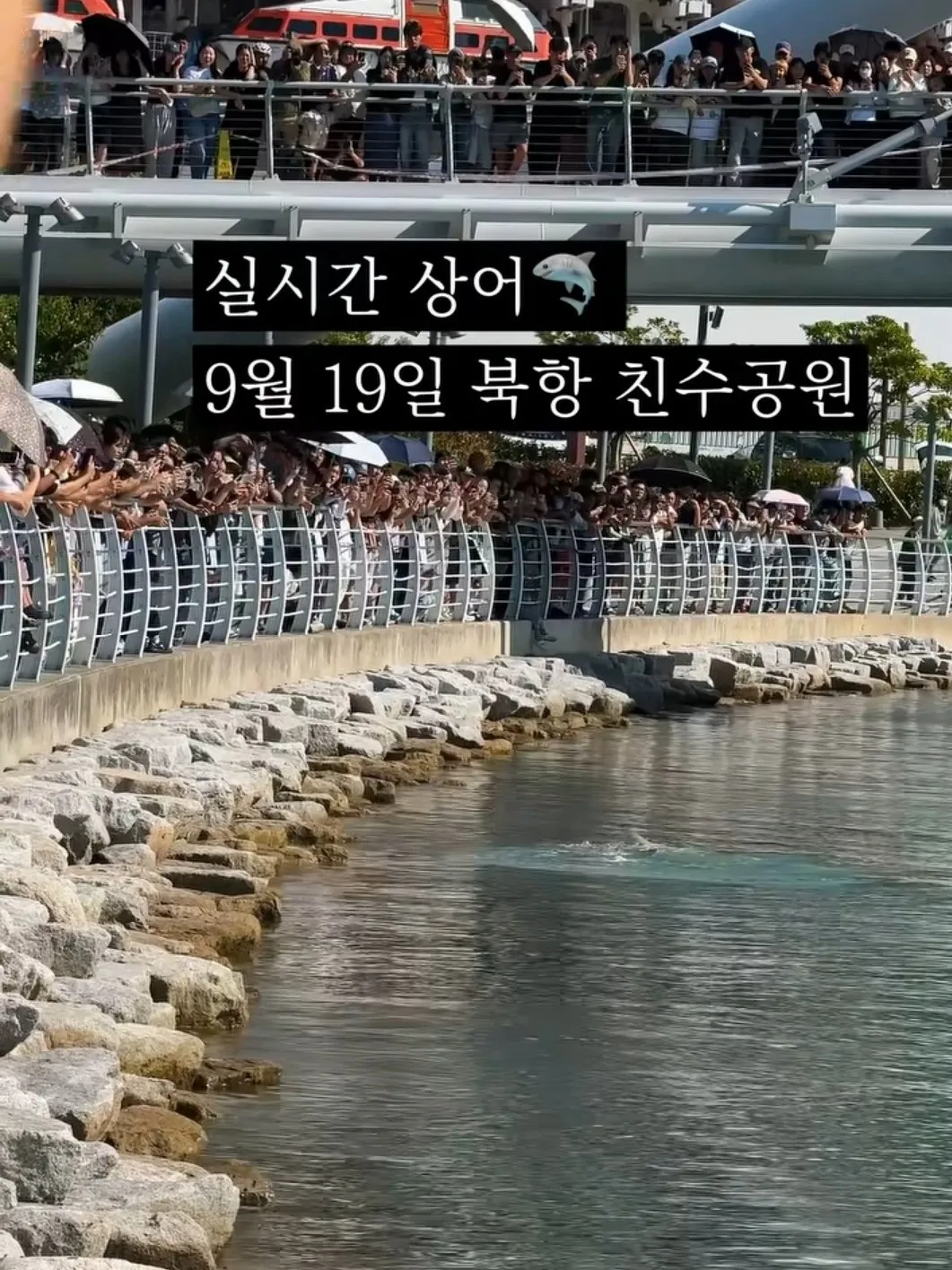 KakaoTalk_20260920_080716029.jpg 제작비0원인데 여수박람회보다 인기 있다는 부산 축제 상황.jpg