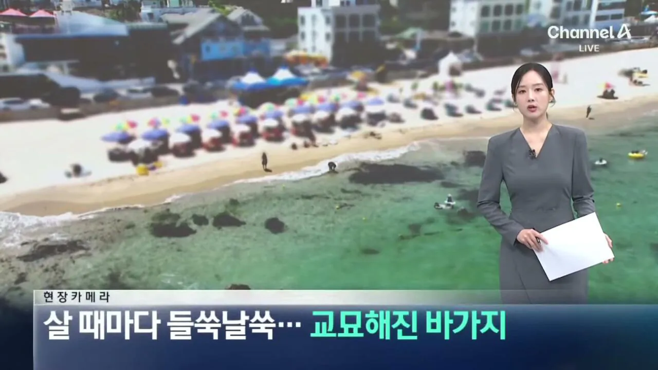 1 (1).jpg "바가지 싫으면 바다 오지마"... 정부 발표에도 여전한 바가지