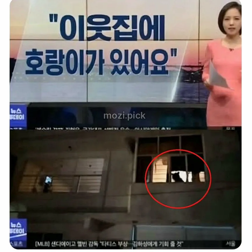1.jpeg 그림자 보고 집에 호랑이 있다고 신고.jpg