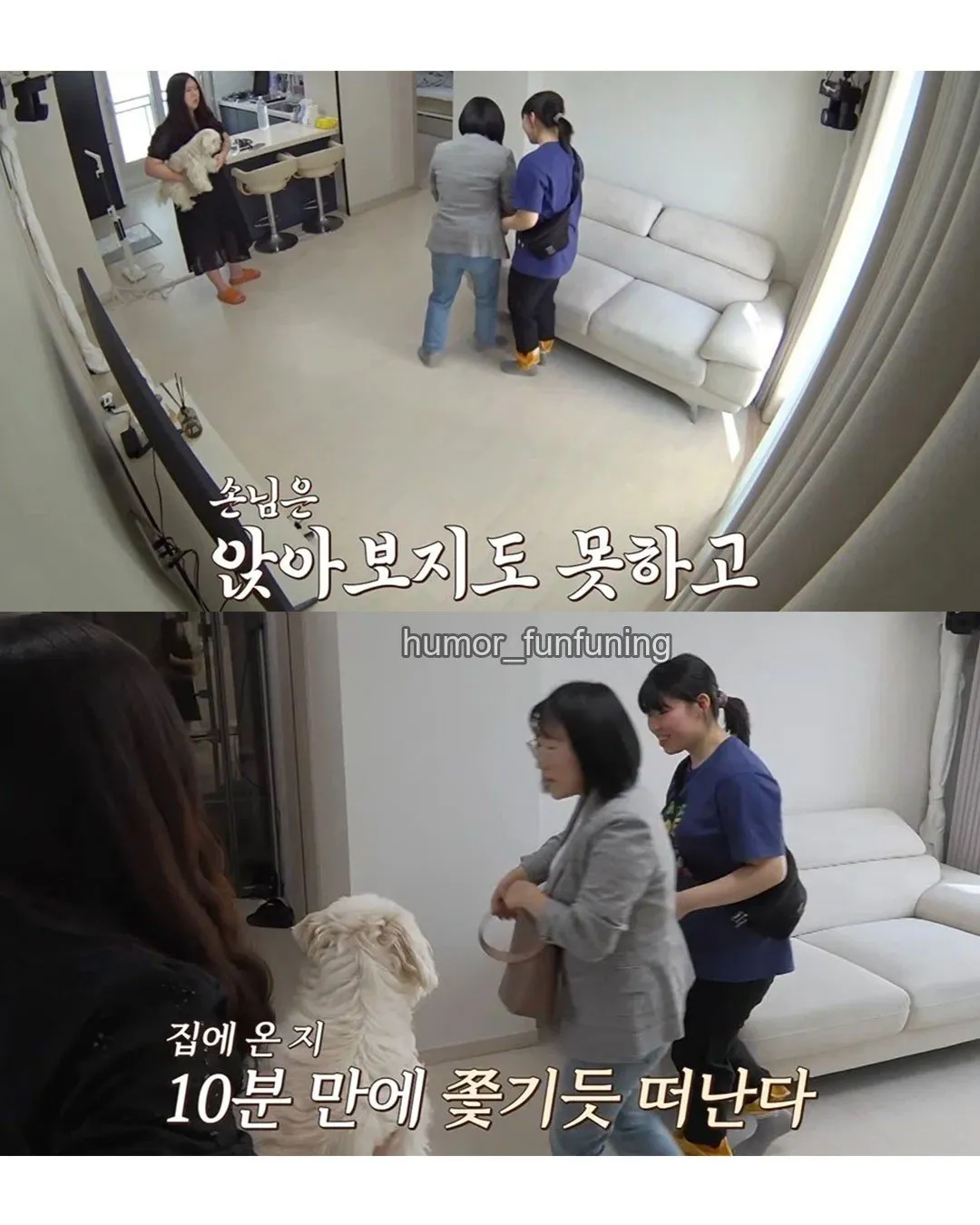 6512.jpg 강아지가 10분만 물면 더이상 안문다고 그냥 물리라고 하는 보호자 ㄷㄷ