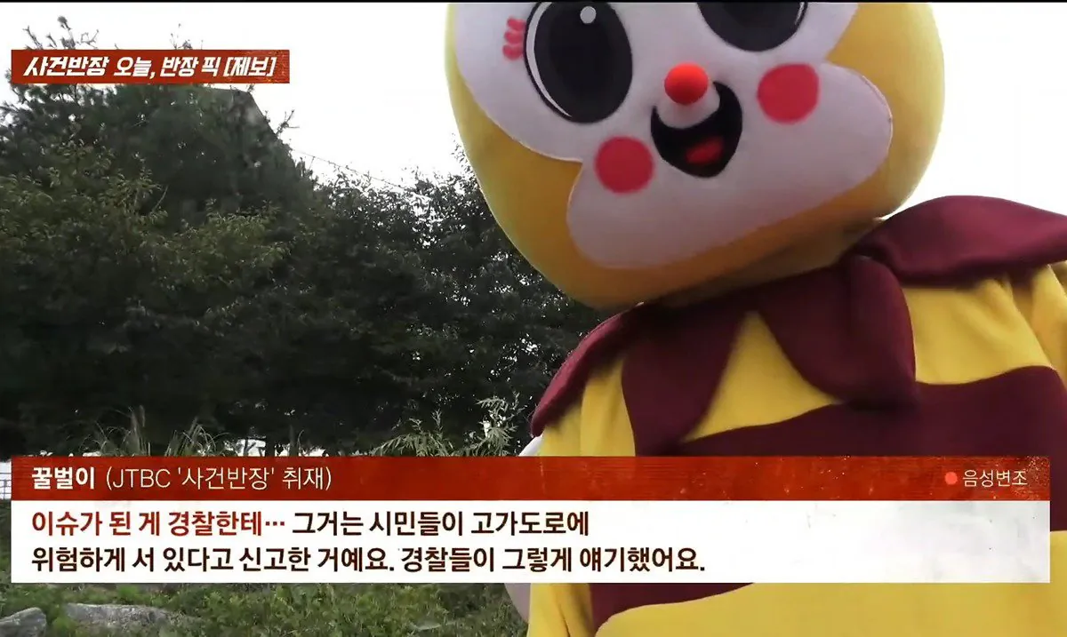 9.jpeg 사건반장에 나온 꿀벌 복장 입는 이유