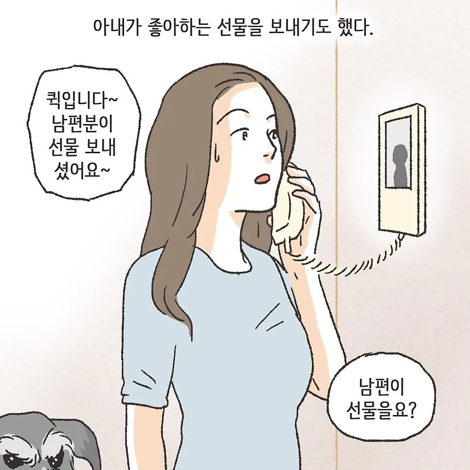 부부사이에 반려견이 있어야 하는 이유