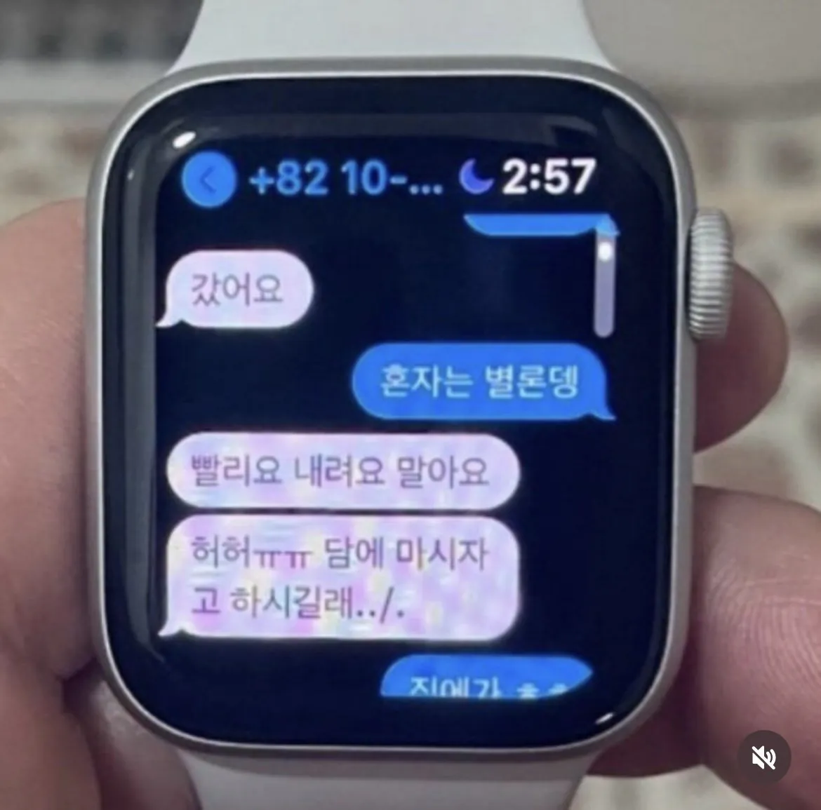 IMG_1455.jpeg 여자친구 애플워치를 몰래 본 남자친구.jpg