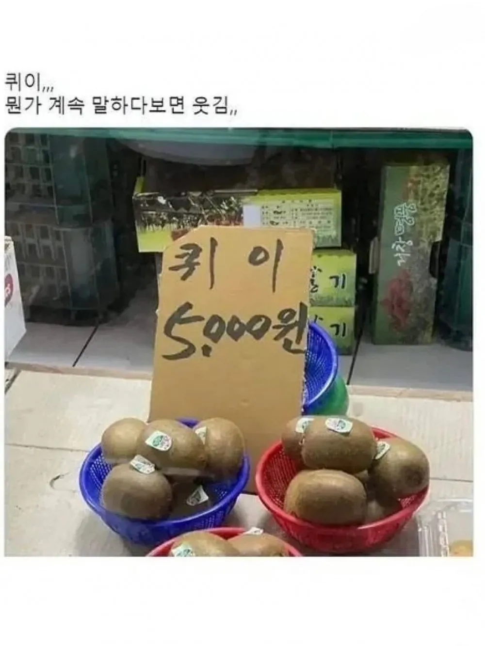 118.jpg 불쌍해서 구매할 수 밖에 없는 복숭아