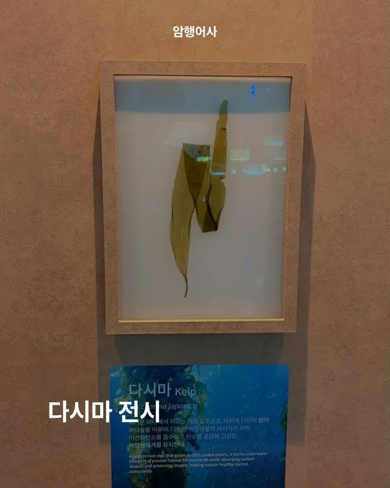 1000244795.webp 700억 짜리 여수 섬박람회는 어떤 볼거리가 있나