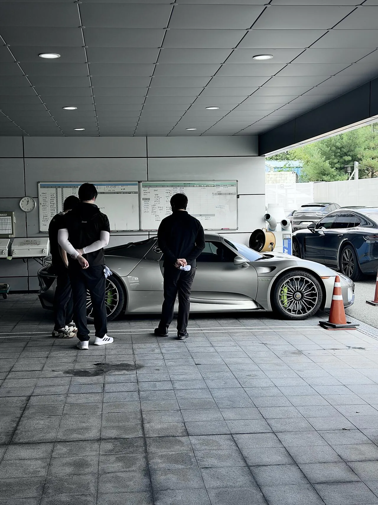 918 스파이더 봄…