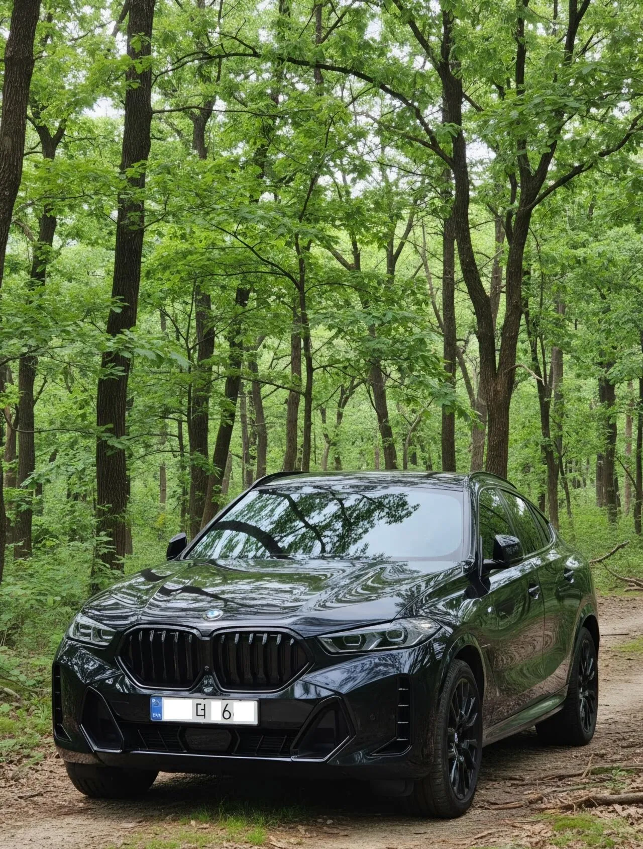 20260711_103430(3).jpg BMW X6 40i xDrive M Sport Package 무사고 기원 인증