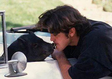 조지 클루니가 18년간 키웠던 반려돼지
