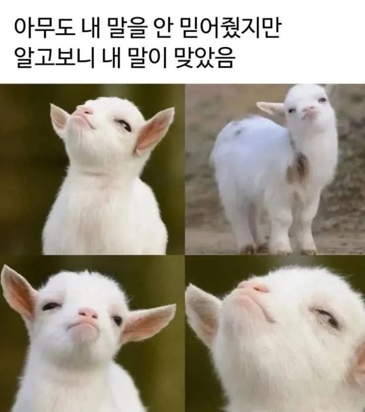 아무도 안 믿었는데 결국 내 말이 맞았을 때