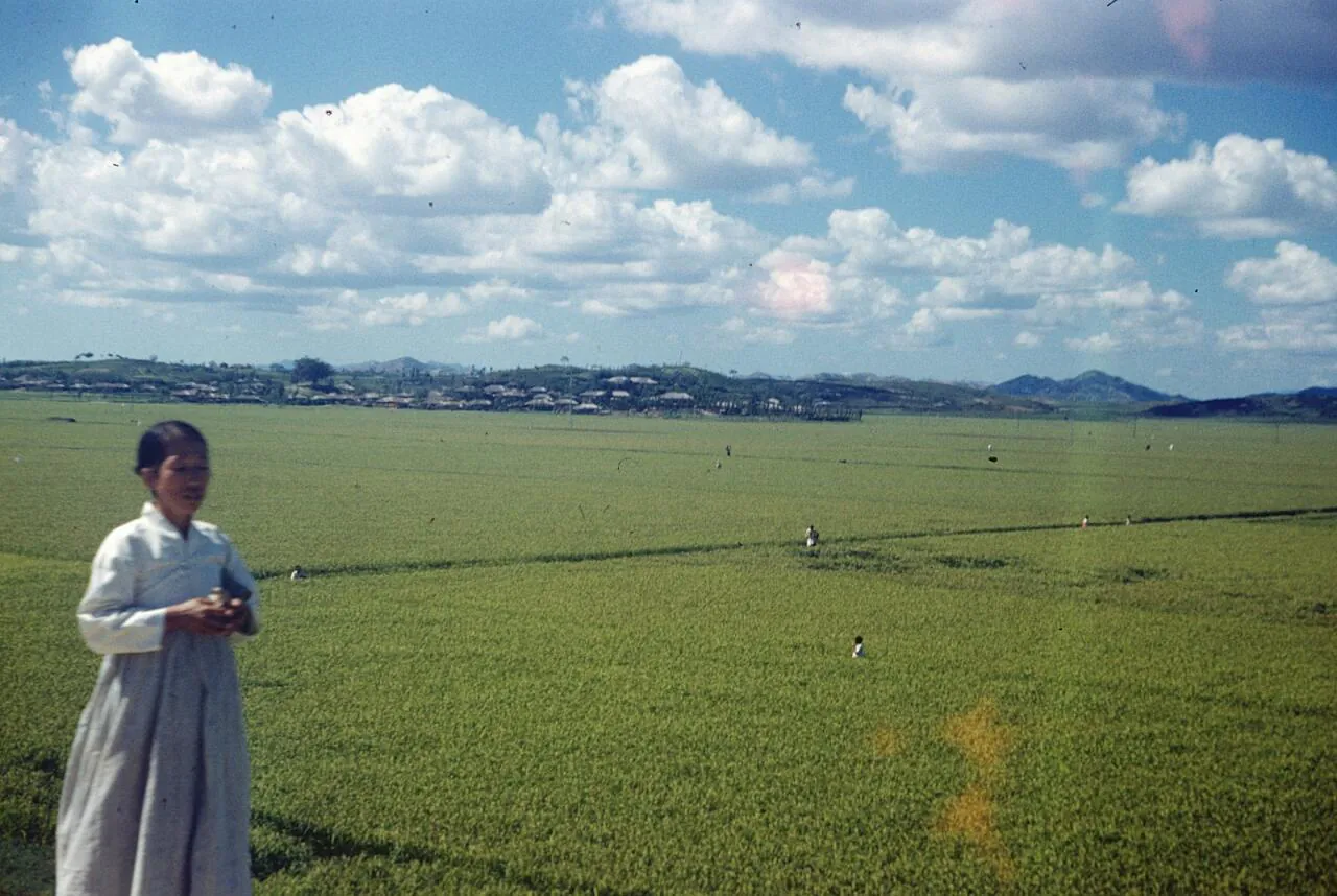 e_woman-and-fields1952_15956748177_o.jpg 희귀사진(KOREA, 1952)