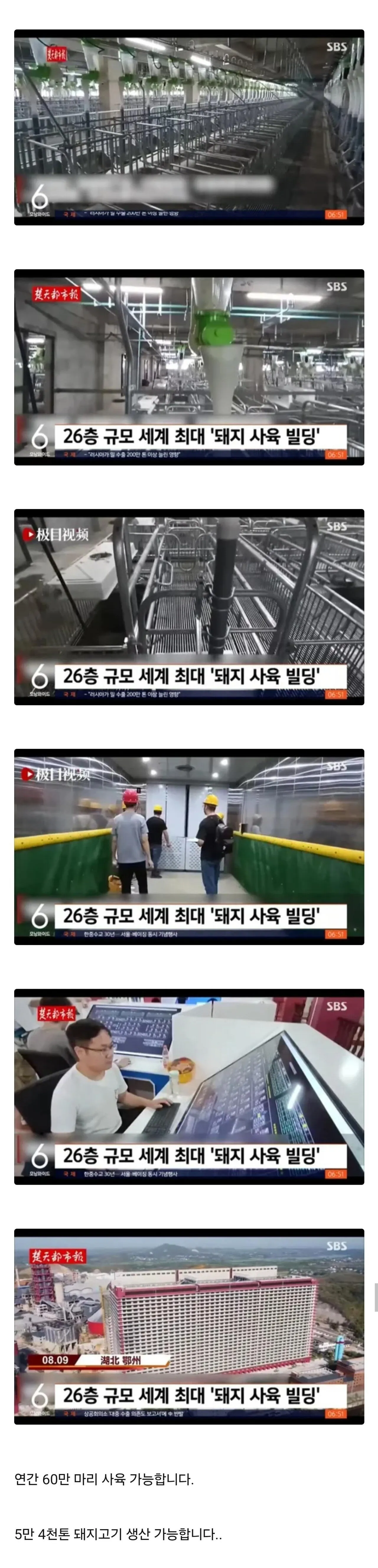 cropped_1784646182287.jpg 오싹하다는 중국의 돼지 대량 생산 성공 ㄷㄷㄷㄷㄷㄷ
