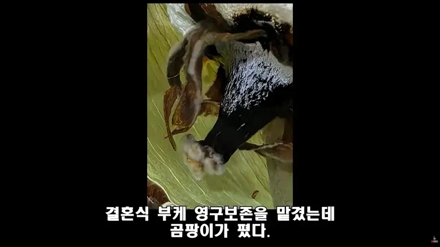 1792247728.webp 변호사한테 " 법대로 합시다 " 결말.....jpg