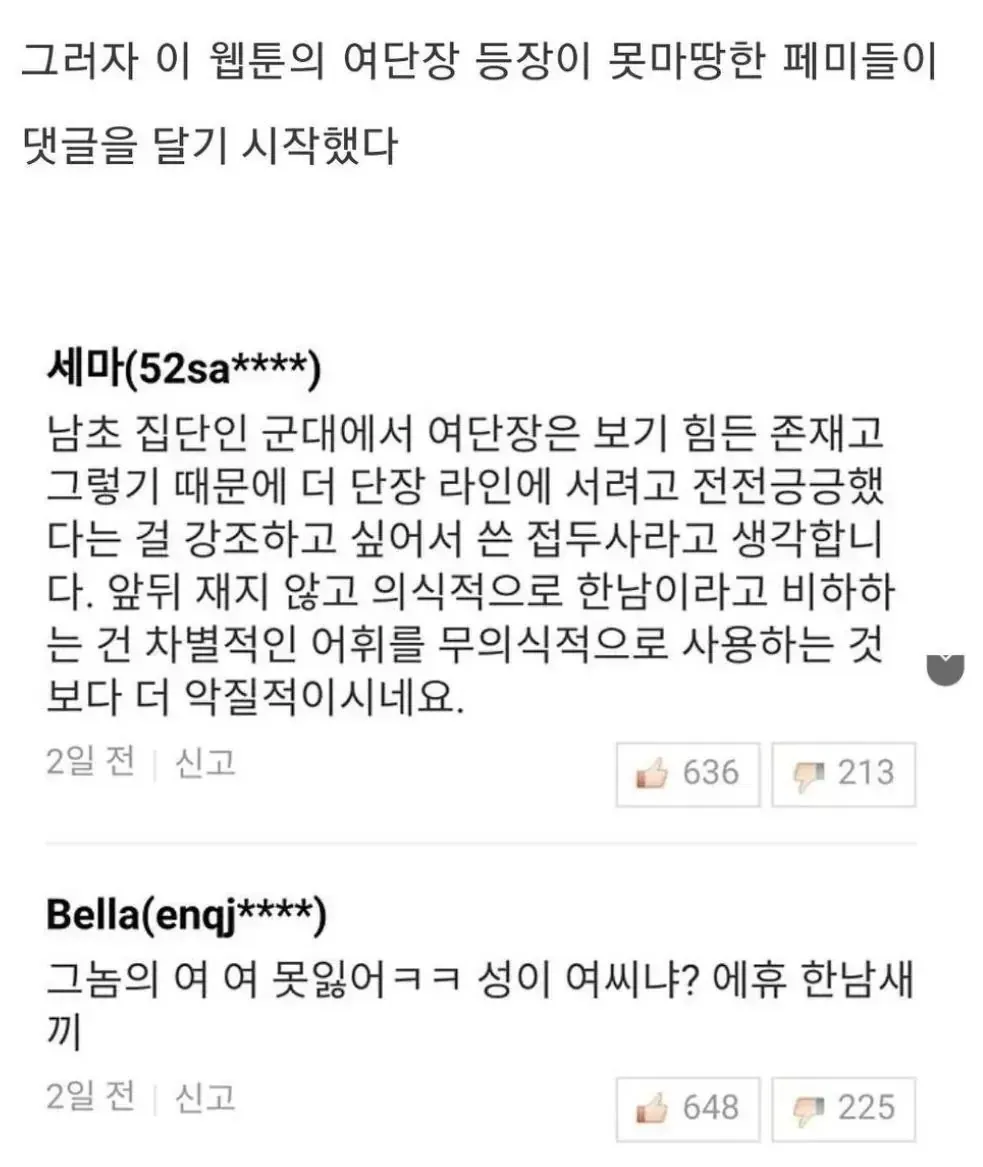 군대 웹툰에 댓글단 언냐들