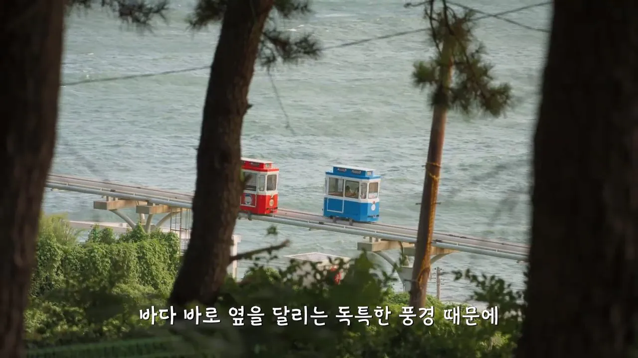 요즘 부산 관광지에서 벌어지고 있는 충격적인 변화.mp4_20260929_095255.782.jpg 지금 부산에 여행온다고 외국인들이 몰리는 이유