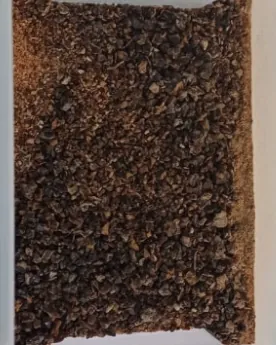 image.png 전 지뢰병이 밝히는 실전 지뢰지대 개척