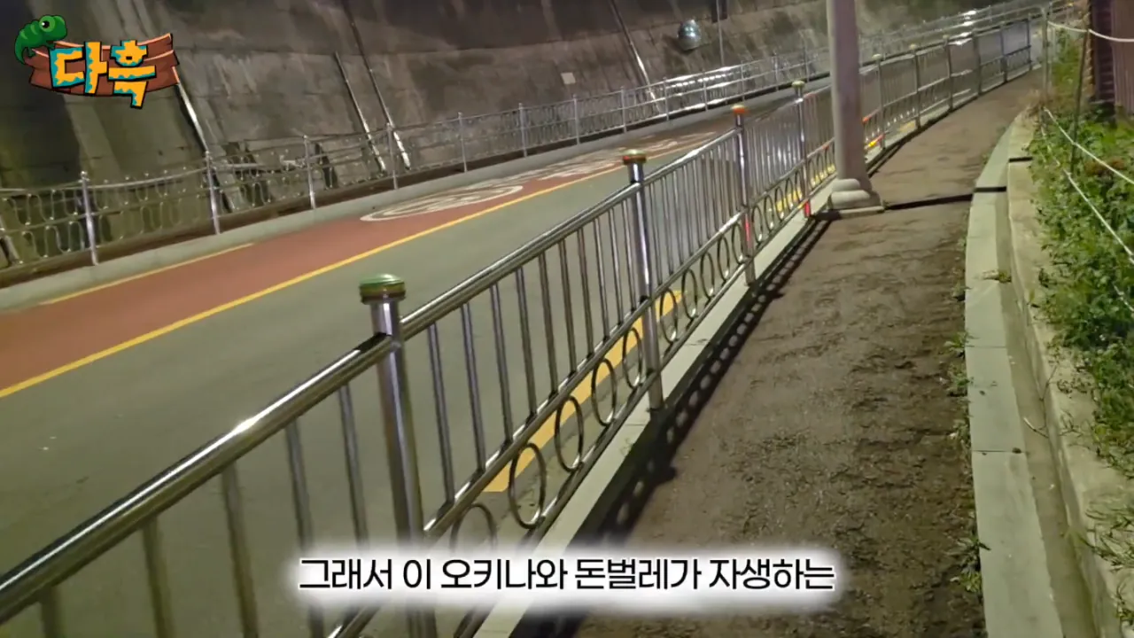 87d163b0927879b03b8d568d8805a881.png (약혐) 최근 부산에 자생한다는 거대돈벌레 ㄷㄷ