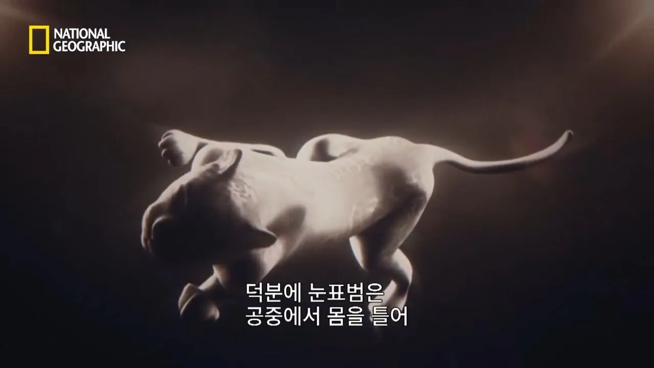Internet_20260802_153513_24.jpeg 사냥 중 120m 절벽 아래로 떨어진 눈표범