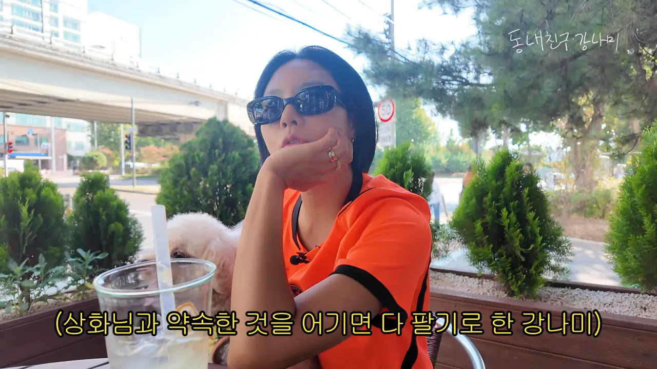 강나미 몰래❗ 포켓몬 카드 다 팔고 2억 벌었습니다🎉 1-20 screenshot.png 강남이 수집하는 포켓몬 카드 팔아버린 이상화 근황 ㄷㄷㄷㄷㄷ