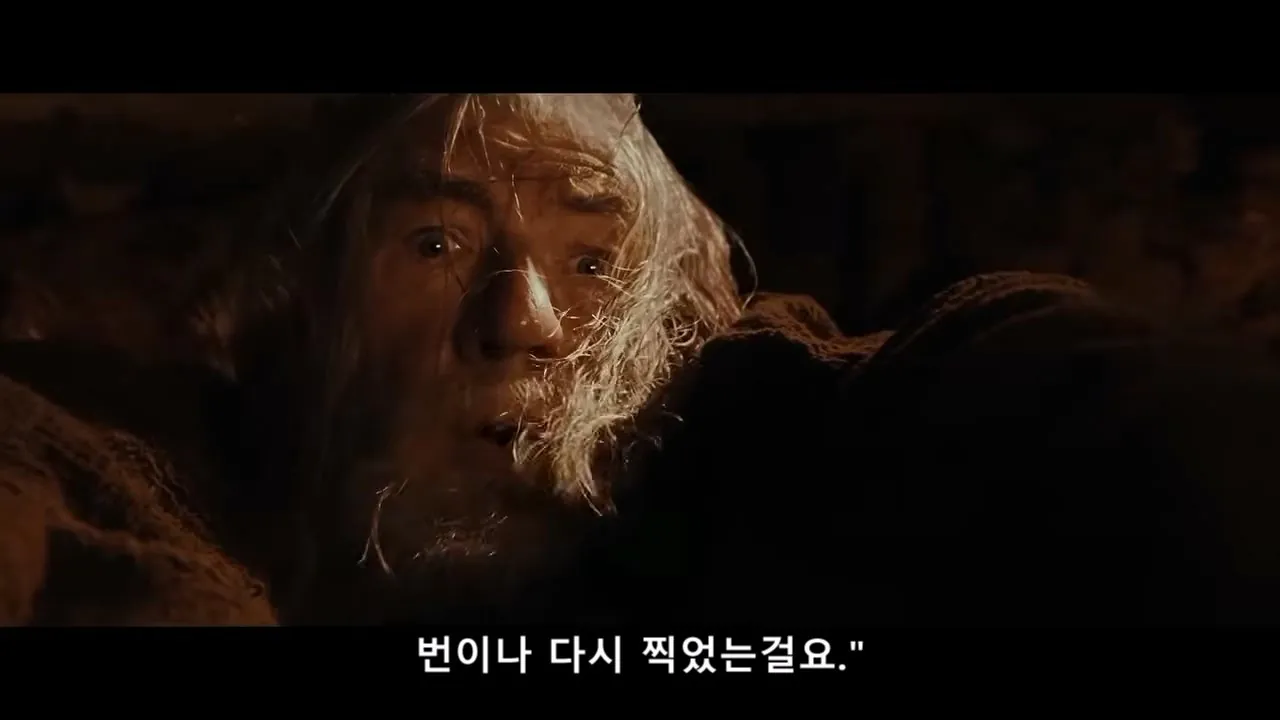 PORQUE SERIA IMPOSIBLE DE FILMAR EL SEÑOR DE LOS ANILLOS HOY_20260908_204725.050.jpg 오늘날 반지의제왕 같은 영화가 못나오는 이유 (스압)